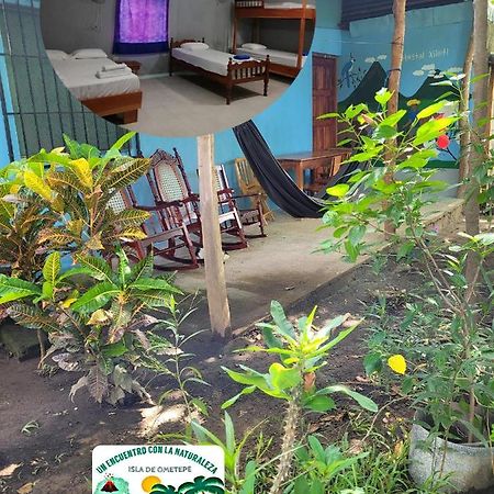 Hostal Xilotl Сан-Хосе-дель-Сур Экстерьер фото
